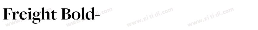 Freight Bold字体转换